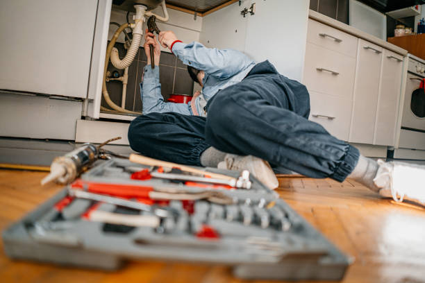 Best Plumbing Services Near Me  in Twin Lakes, NM