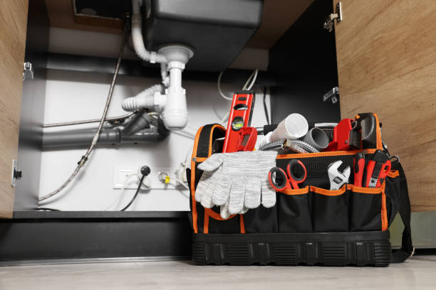 Best Commercial Plumbing Services  in Twin Lakes, NM